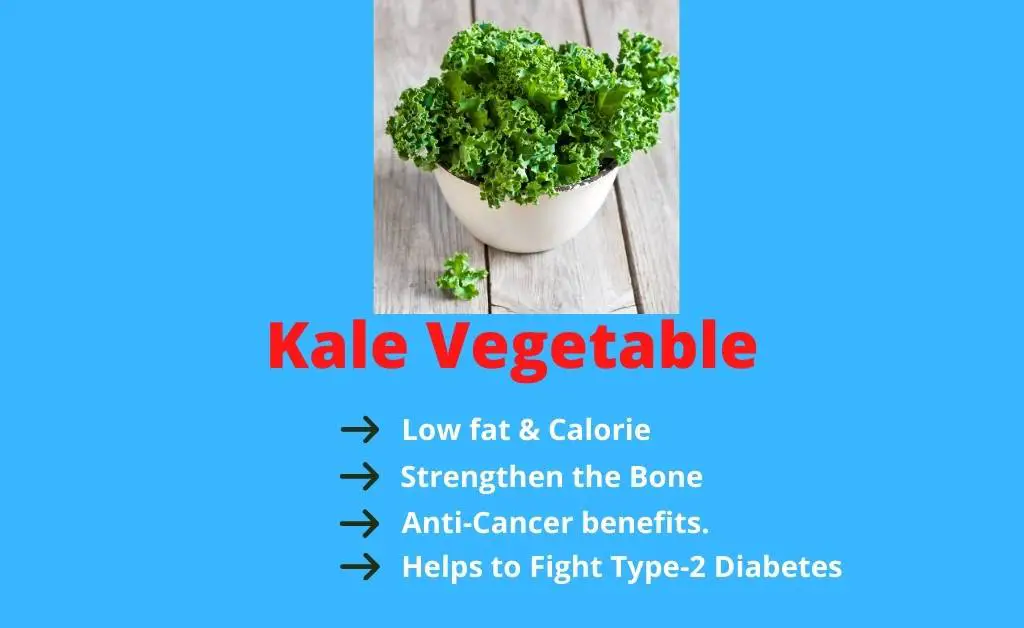 Kale Vegetable
