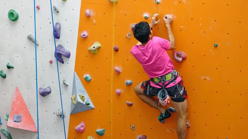 what muscles does climbing work