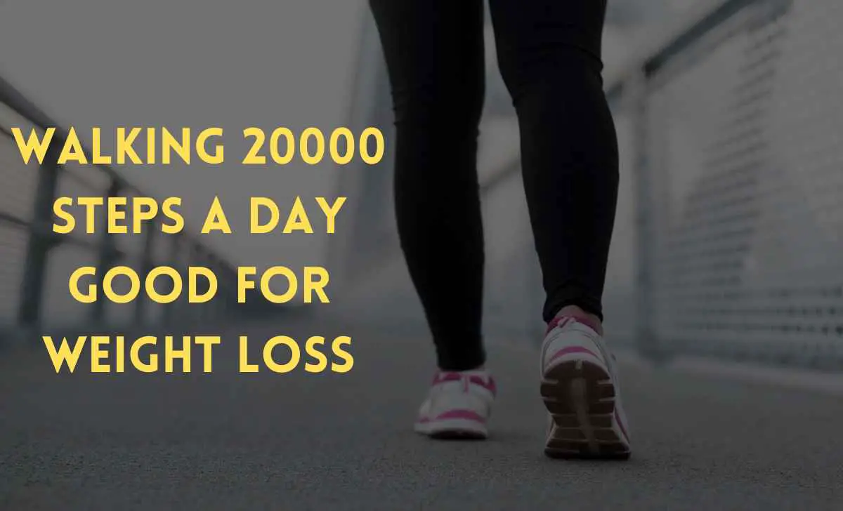 is walking 20000 steps a day good for weight loss